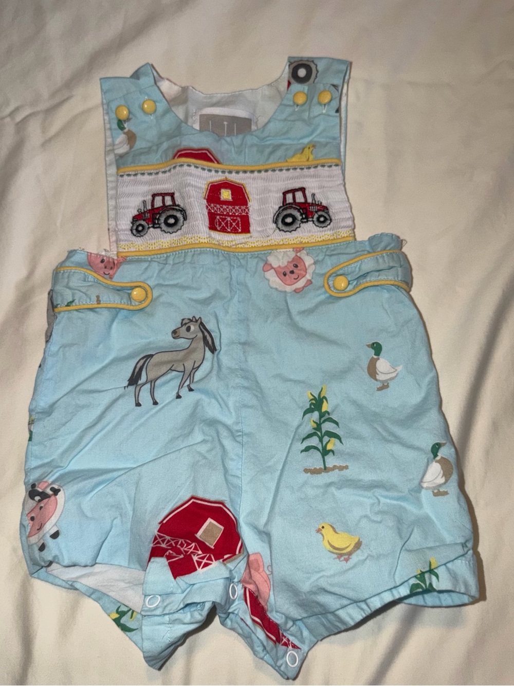 Cactus Light Blue Farm-Print Smocked Romper